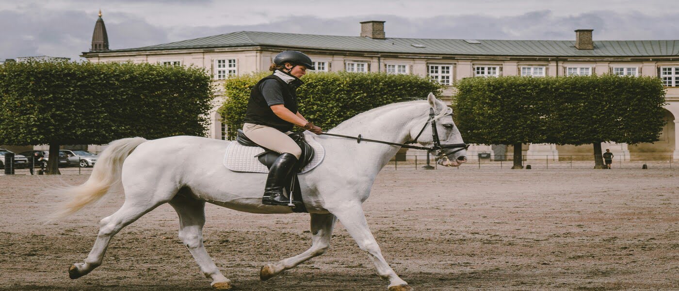 Horse Hacienda Club