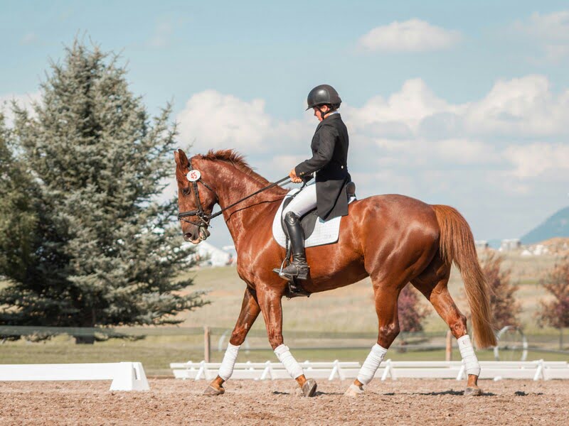 Riding Lessons
