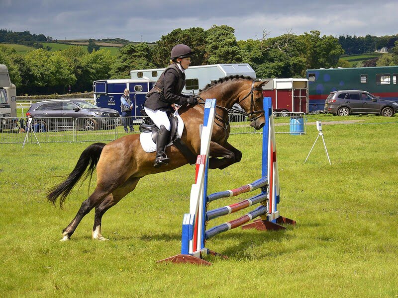 Jumping Training
