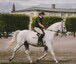 Schooling and Training