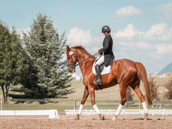Schooling & Training