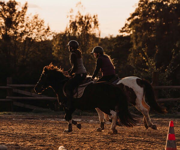 Riding Lessons